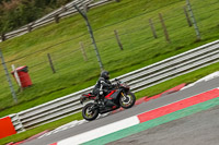 Evening Adv_Mid Group Multicolour Bikes